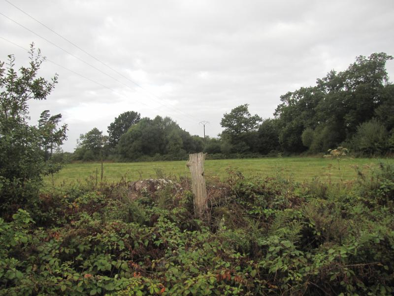 Tumulus