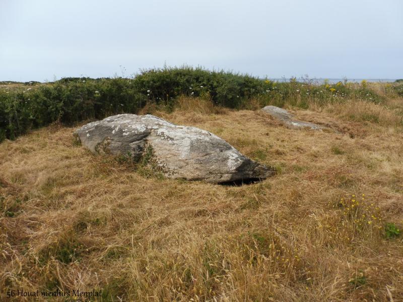 Deux menhirs couchés