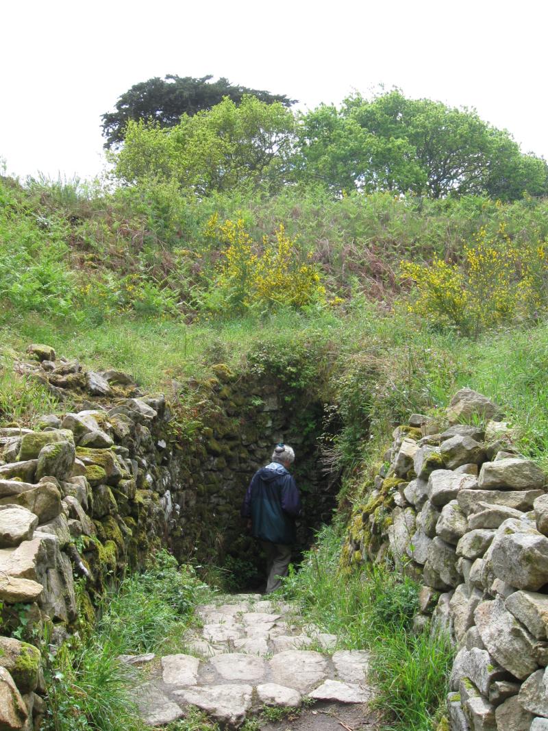 Tumulus avec dolmen du Mamé-er-Hroëk, dit aussi du Ruyk, Locmariaquer