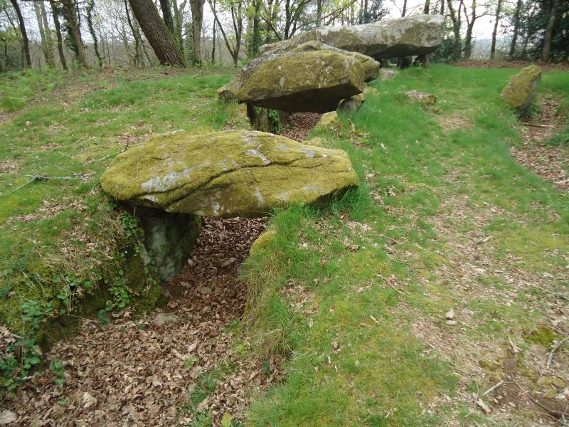 Allée couverte coudée de Mané-er-Loh, dite Mané-Bras, Locoal-Mendon
