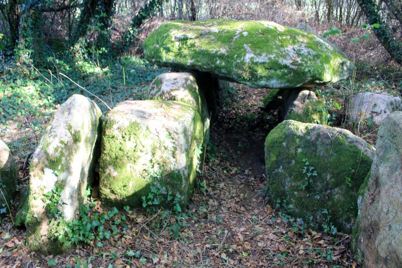 Dolmen à cabinets latéraux de Locqueltas, Locoal-Mendon