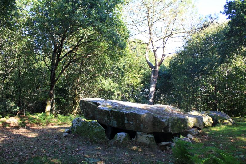 Dolmen à galerie à support gravé de Mané-er-Loh, dit Mané-Bras, Locoal-Mendon