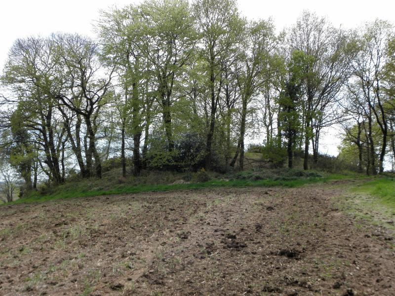 Tumulus de Saint-Fiacre, Melrand