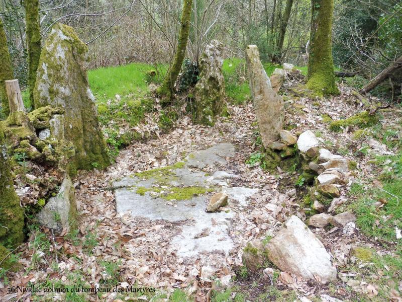Dolmen dit Le Tombeau des Martyrs, à Ros, Nivillac