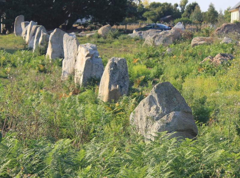 Alignements du Gueldro, Plouhinec