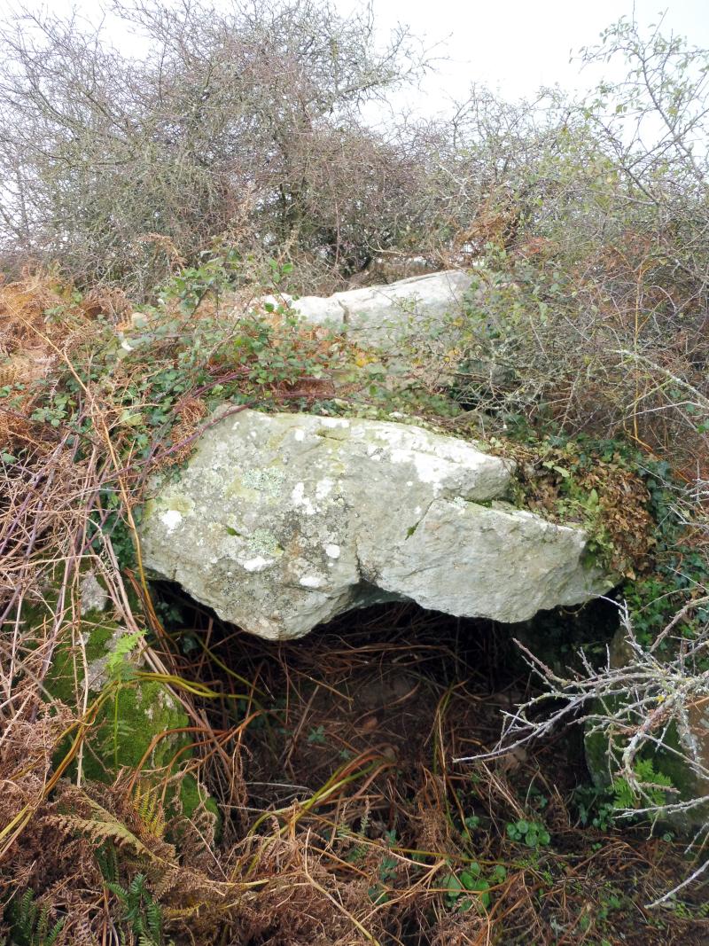 Allée couverte du Net, dite Clos-et-Bé