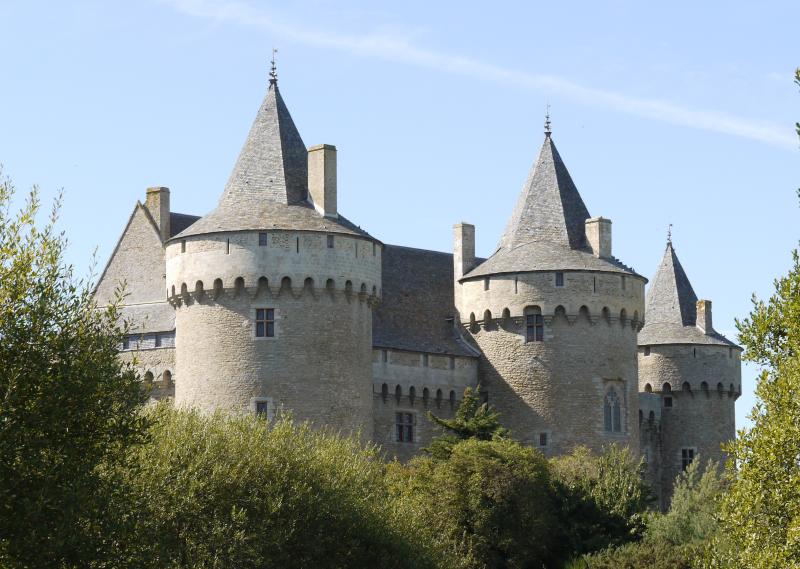 Ruines du château de Suscinio