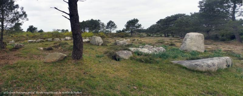 Alignement du Narbon, Erdeven