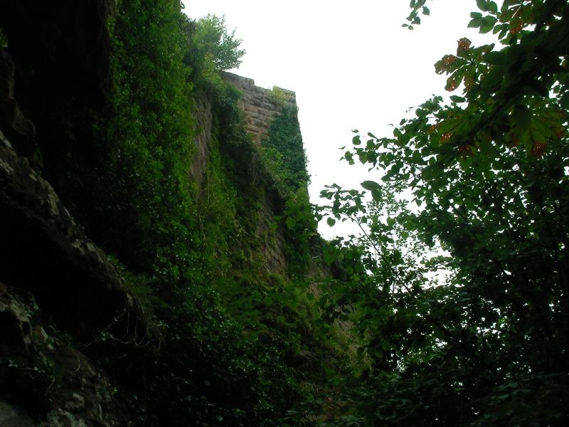 Château du Grand Arnsbourg, Baerenthal