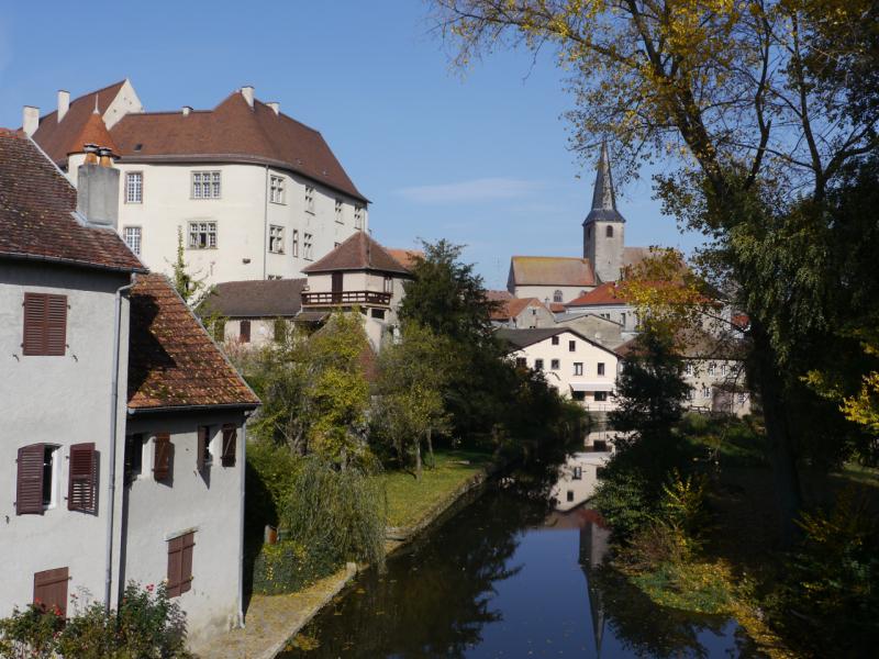 Château, Fénétrange