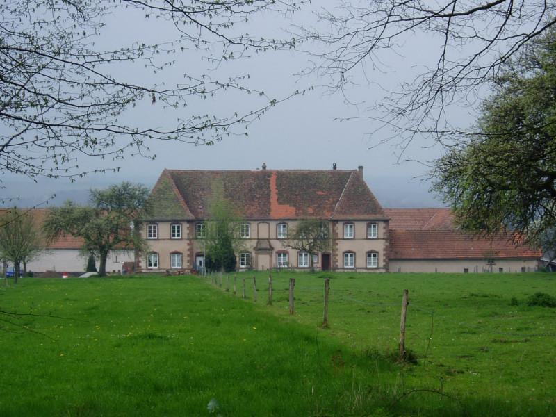 Château de Gendersberg, Hanviller