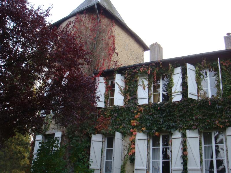 Domaine du château, Les Étangs