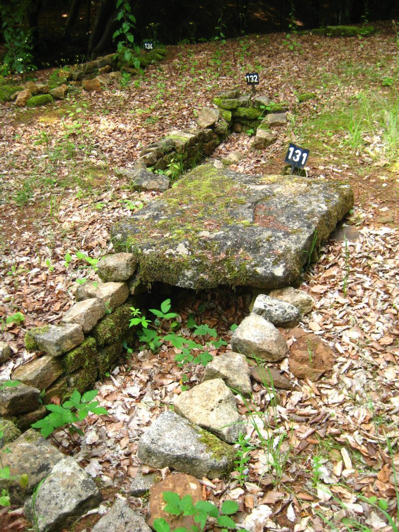 Nécropole mérovingienne, Audun-le-Tiche