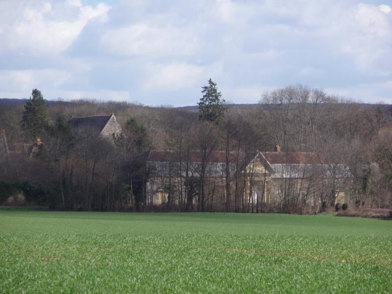 Chartreuse de Bellary (ancienne), Châteauneuf-Val-de-Bargis
