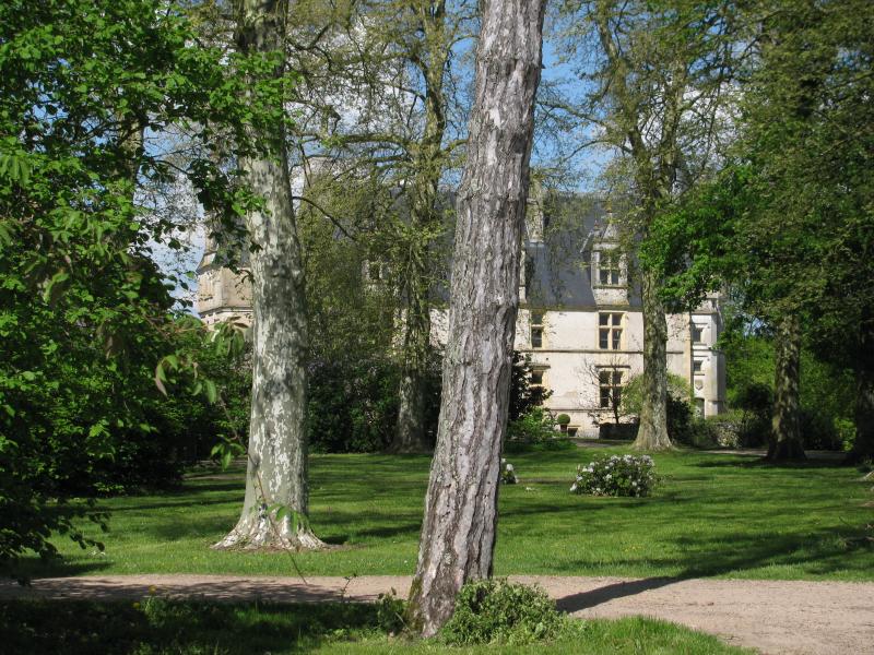 Château de la Motte-Farchat, Fleury-sur-Loire