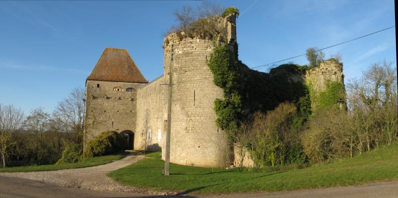 Château de Rosemont (ruines), Luthenay-Uxeloup
