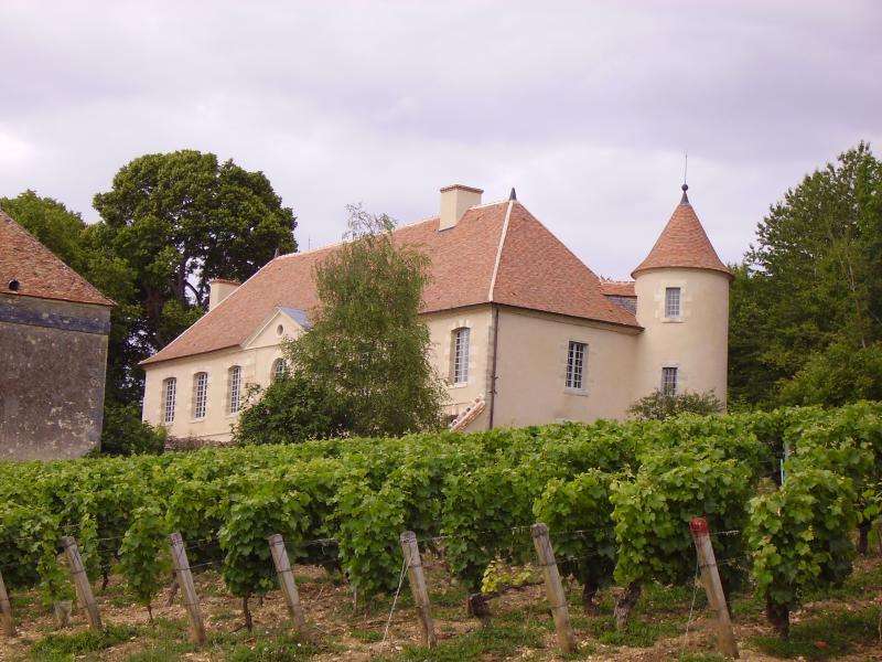Château de Mocques, Saint-Martin-sur-Nohain