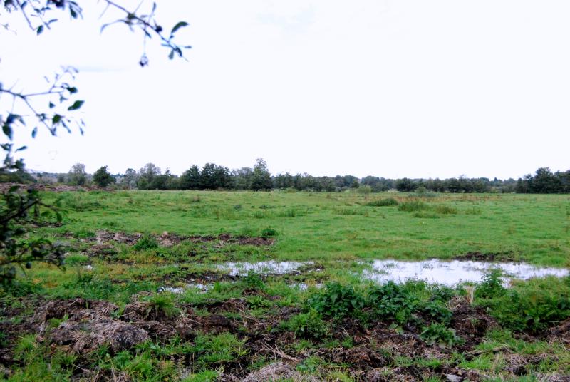 Motte féodale, Aulnoye-Aymeries