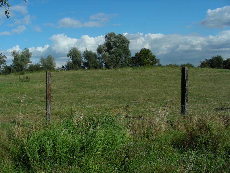 Motte féodale, Bailleul