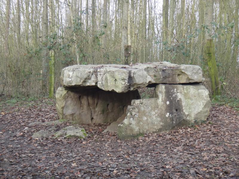 Dolmen du Bois, Hamel