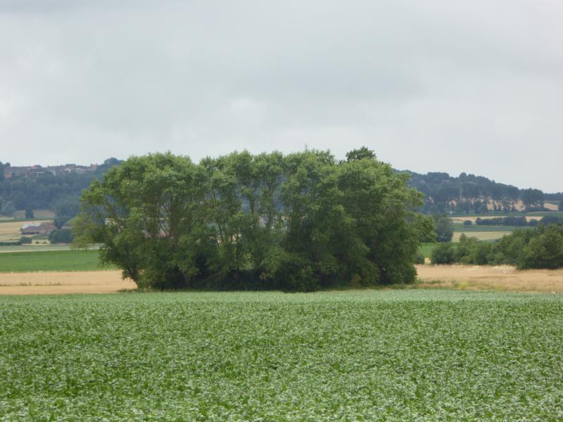 Motte féodale, Oudezeele