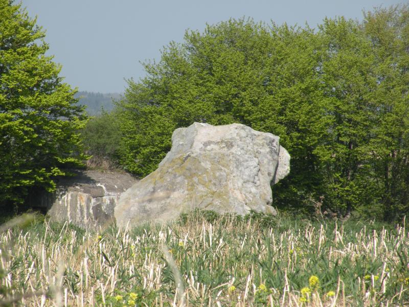 Deux menhirs dits Pierre Martine, Solre-le-Château