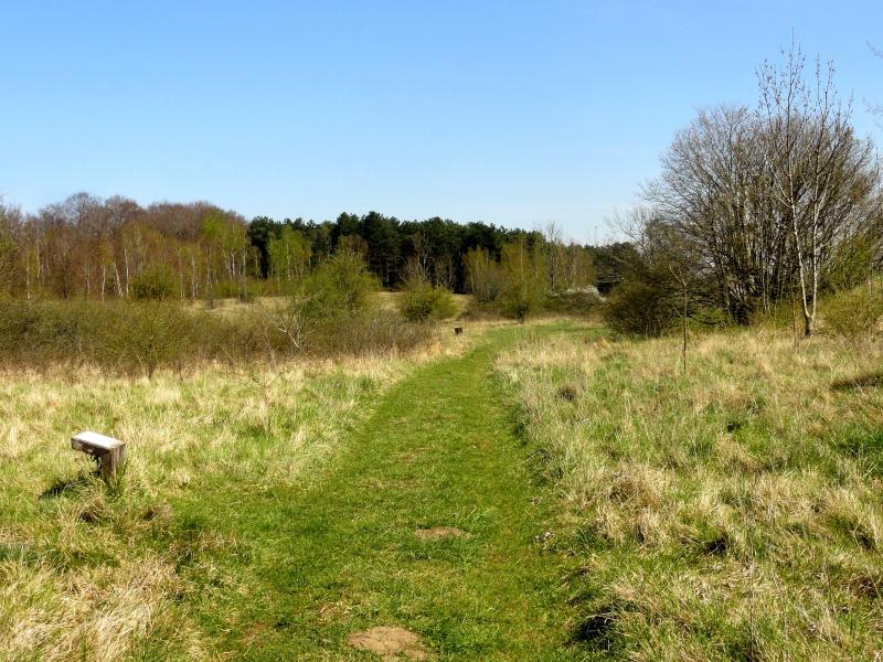 Oppidum gaulois et camp de César, Bailleul-sur-Thérain