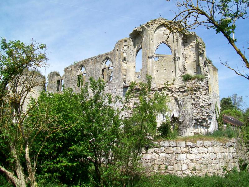 Ruines du château, Thiers-sur-Thève