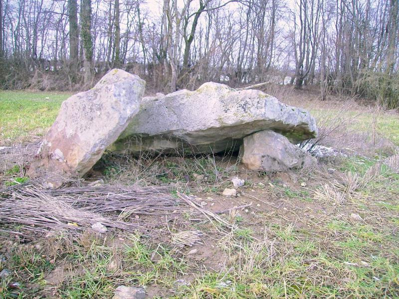 Dolmen, La Ferté-en-Ouche