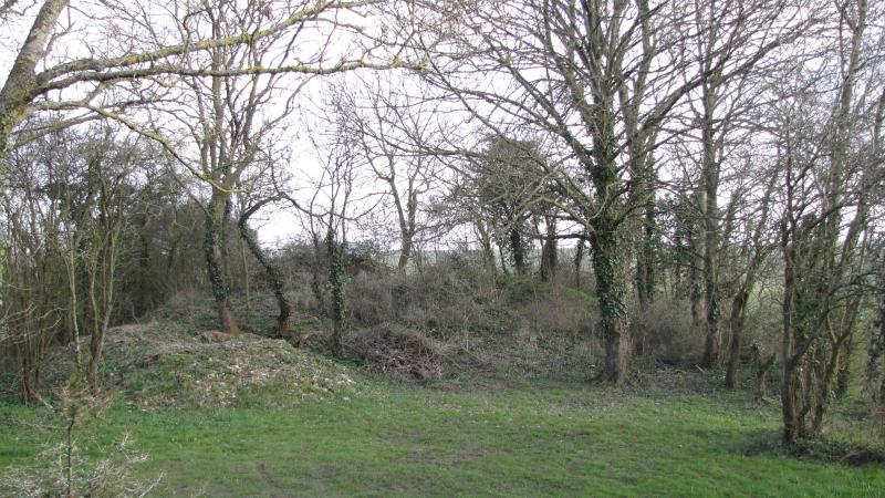 Tumulus dit des Hogues, Habloville