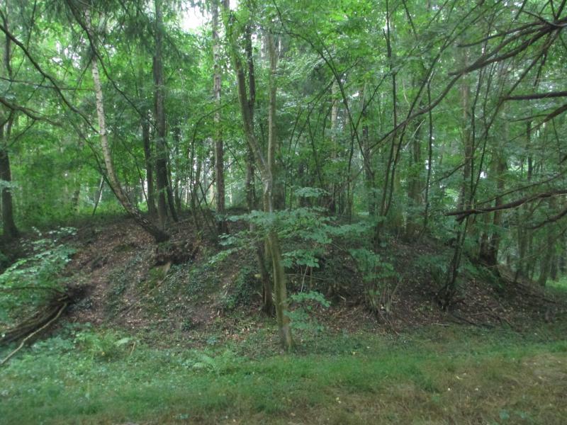 Motte féodale dite Garenne-de-la-Motte, Igé