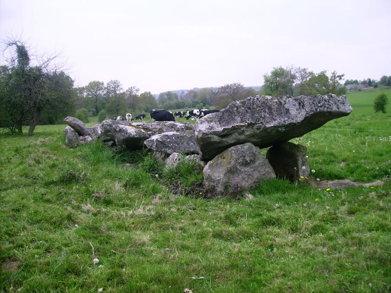 Allée couverte de la Bertinière, Les Monts d'Andaine