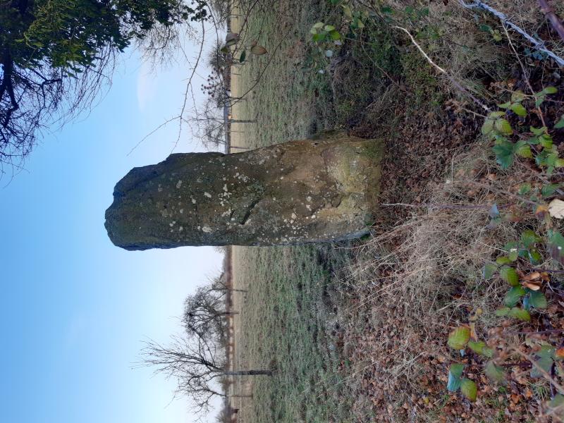 Menhir dit la Pierre au Bordeu, Tournai-sur-Dive