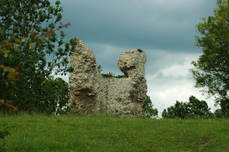 Ruines du donjon et motte, Bailleulmont