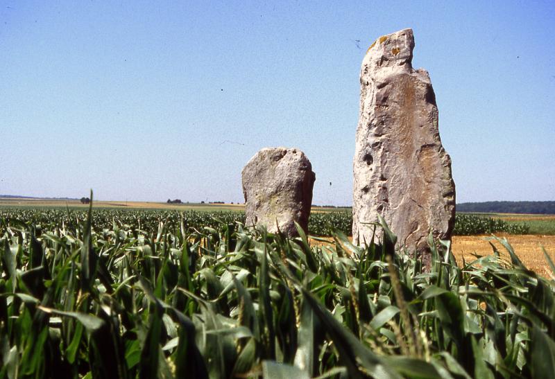 Menhir dit Les Pierres Jumelles, Mont-Saint-Éloi