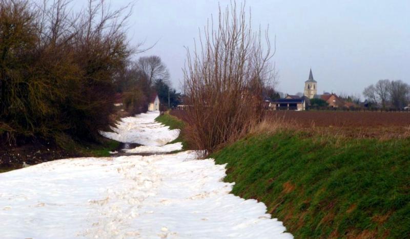 Motte féodale, Rely
