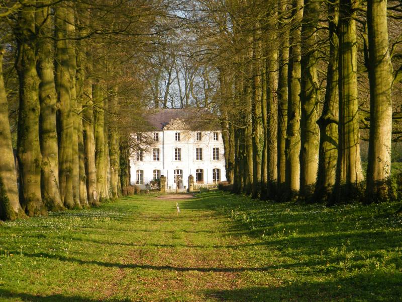 Château de Parenty, Parenty