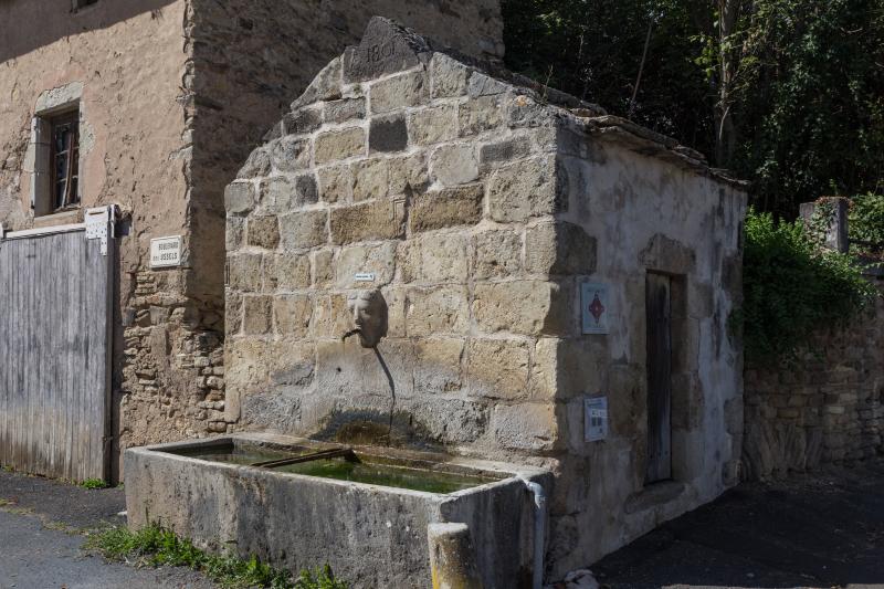 Fontaine du 12e siècle, Artonne