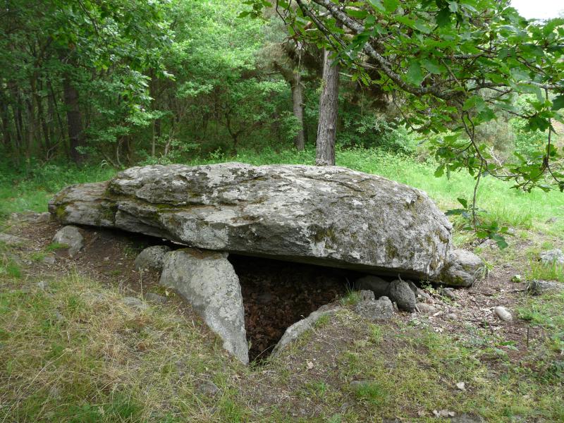 Tumulus-dolmen de la Pennet (ou Pineyre), Saint-Nectaire