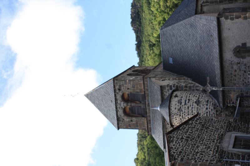 Eglise Sainte-Radegonde, Saurier