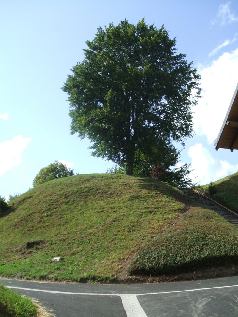 Motte féodale, Giat