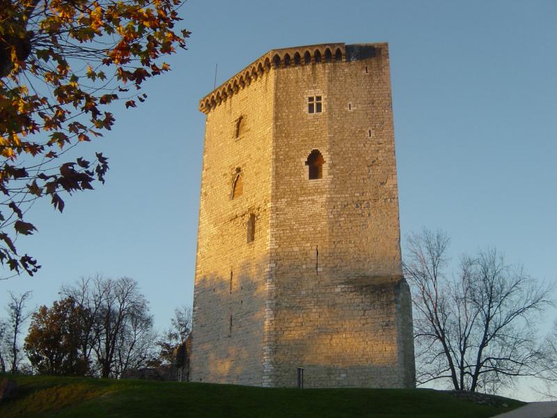 Vestiges du château Moncade, Orthez