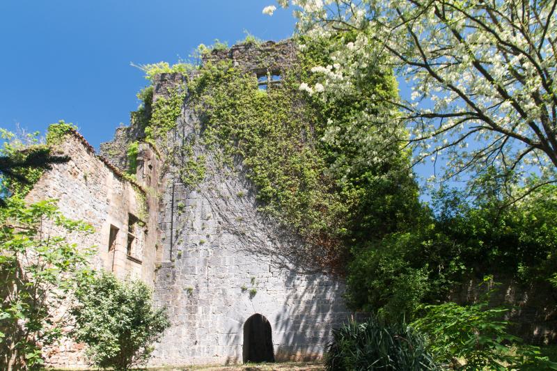 Château, Saint-Pée-sur-Nivelle