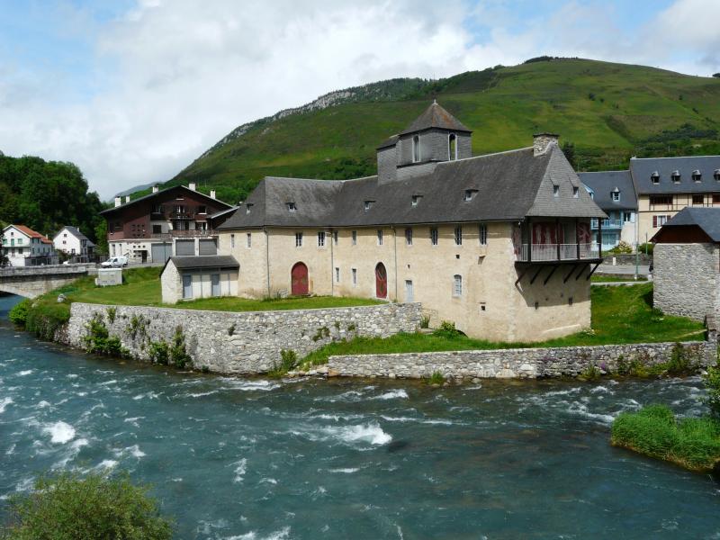 Château de Camon ou Château des Nestes