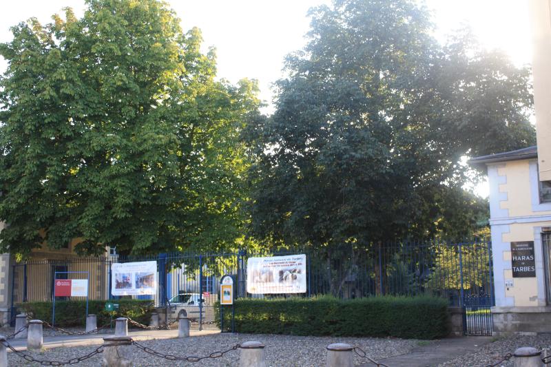 Haras nationaux, Tarbes