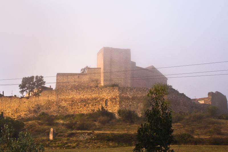 Vestiges du château et enceinte fortifiée, Montalba-le-Château
