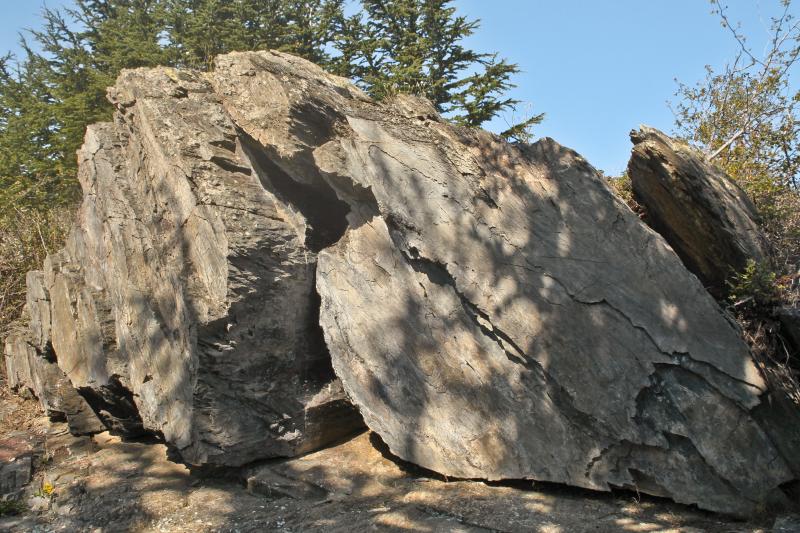 Rocher gravé de Fornols, Campôme