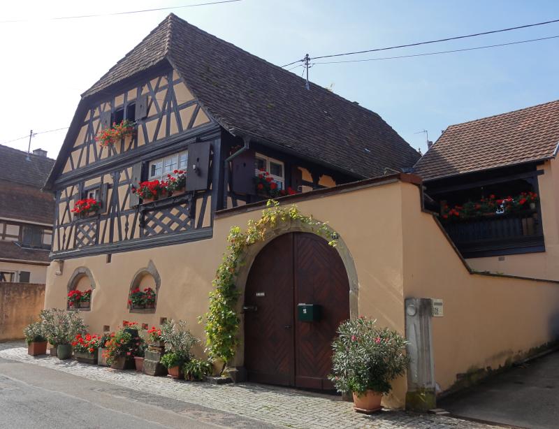 Maison