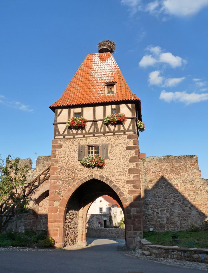 Restes du château, Châtenois