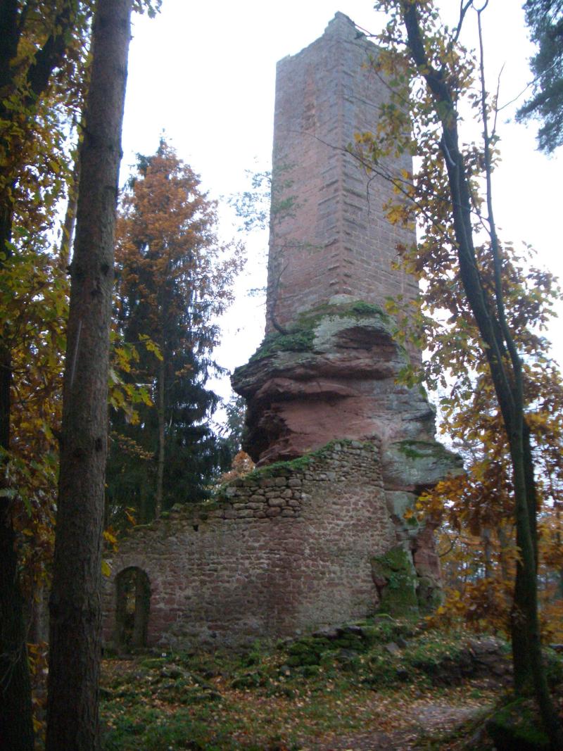 Château de Wineck : vestiges en totalité, Dambach